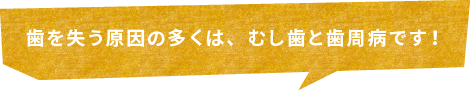 歯を失う原因の多くは、むし歯と歯周病です！